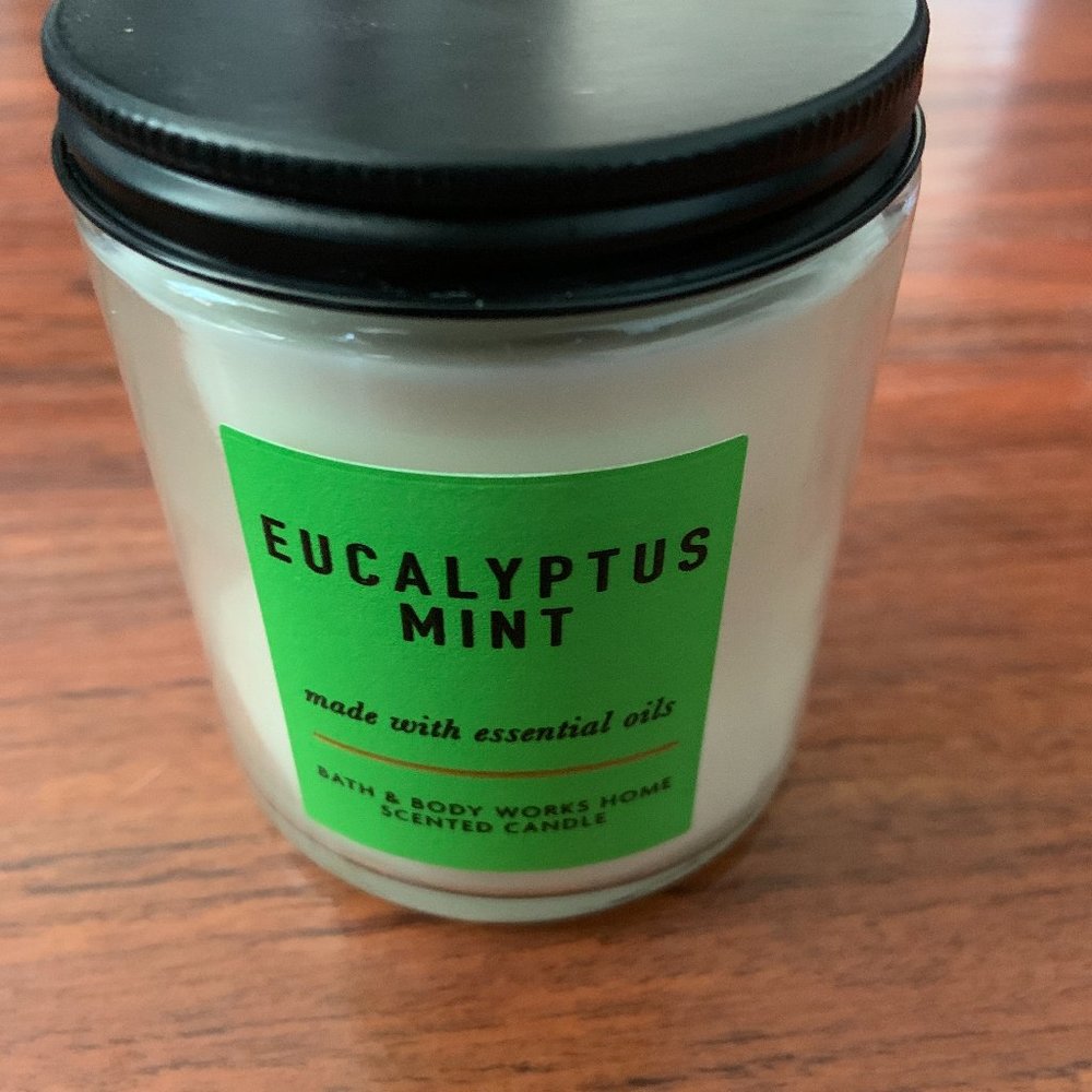 Bath & Body Works Eucalyptus Mint Single Wick Candle – NWT